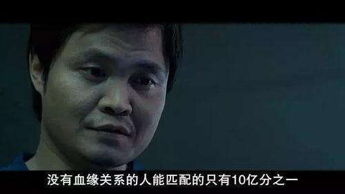 国产奇幻剧老头渡劫视频