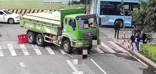 老外买中国国产货车视频