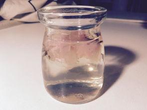 国产清酒制作方法视频