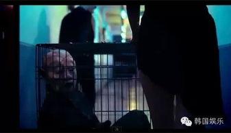 国产19禁在线视频