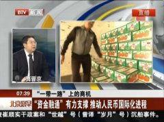 支持国产人民币视频  第3张