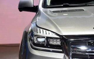 全新国产霸道亮相视频  第2张