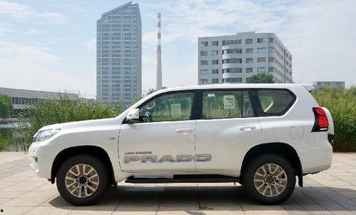 全新国产霸道亮相视频  第3张