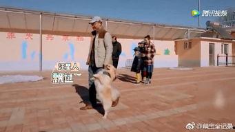 偶遇国产小鲜肉视频,国产小鲜肉风采瞬间  第2张