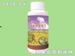 新疆国产油产品介绍视频,品质卓越，疆域瑰宝  第2张